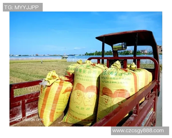 范崎的传奇人生与时代变迁的交织探索