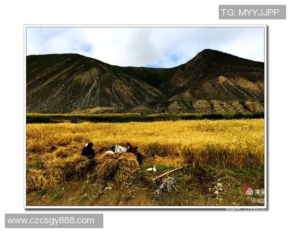 理塘足球比赛精彩直播视频全程回放与精彩瞬间分享